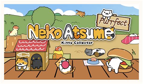 neko atsume purrfect kitty collector